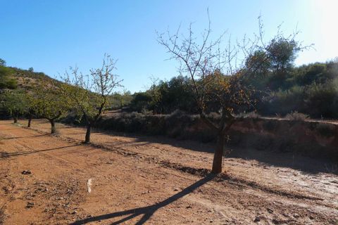 Finca i Maella, Zaragoza, Maella - € 15.000 | Ref: 1037 - foto 21