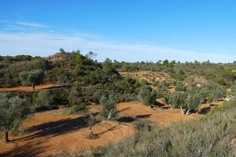 Finca i Maella, Zaragoza, Maella - € 15.000 | Ref: 1037 - foto 7