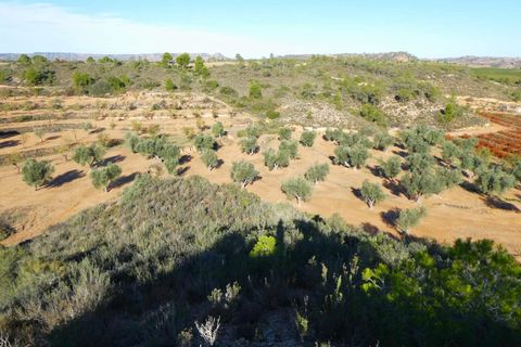 Finca i Maella, Zaragoza, Maella - € 15.000 | Ref: 1037 - foto 15