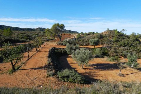 Finca i Maella, Zaragoza, Maella - € 15.000 | Ref: 1037 - foto 6