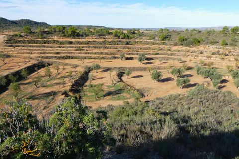 Finca i Maella, Zaragoza, Maella - € 15.000 | Ref: 1037 - foto 14