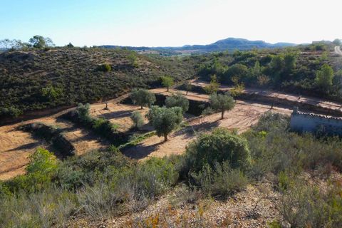 Finca i Maella, Zaragoza, Maella - € 15.000 | Ref: 1037 - foto 17