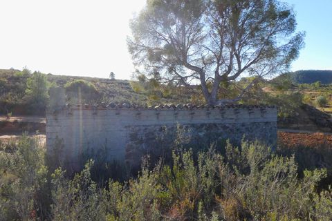 Finca i Maella, Zaragoza, Maella - € 15.000 | Ref: 1037 - foto 18