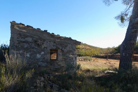 Finca i Maella, Zaragoza, Maella - € 15.000 | Ref: 1037 - foto 19