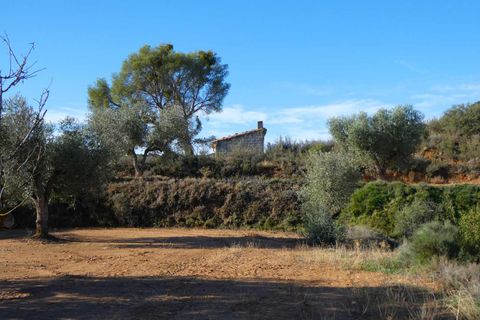 Finca i Maella, Zaragoza, Maella - € 15.000 | Ref: 1037 - foto 8