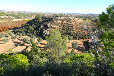 Finca i Maella, Zaragoza, Maella - € 15.000 | Ref: 1037 - foto 16