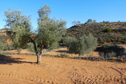 Finca i Maella, Zaragoza, Maella - € 15.000 | Ref: 1037 - foto 20