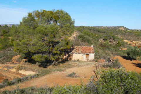 Finca i Maella, Zaragoza, Maella - € 15.000 | Ref: 1037 - foto 1