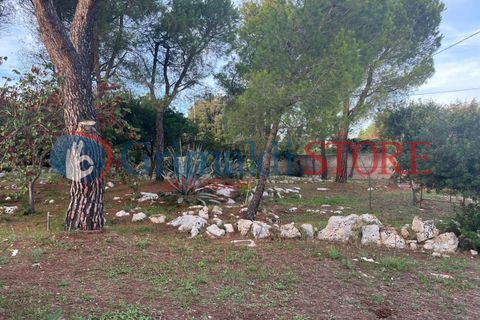 Villa i Ostuni, Brindisi, Ostuni - € 850.000 | Ref: 850OSTUNIDEICOLLI - foto 5