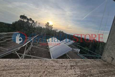 Villa i Ostuni, Brindisi, Ostuni - € 850.000 | Ref: 850OSTUNIDEICOLLI - foto 6