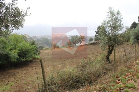 Helårsgrund i Odivelas, Lisbon, Odivelas - € 90.000 | Ref: SÒL_530 - foto 6