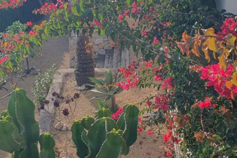 Villa i Calpe, Alicante, Calpe - € 699.000 | Ref: NO5306 - foto 31
