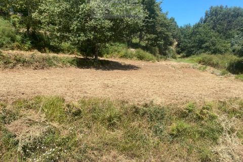 Terra a Gondufe, Viana do Castelo, Gondufe - € 50.000 | Ref: TER_1835 - foto 3