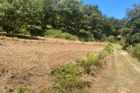 Terra a Gondufe, Viana do Castelo, Gondufe - € 50.000 | Ref: TER_1835 - foto 4