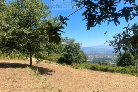 Terra a Gondufe, Viana do Castelo, Gondufe - € 50.000 | Ref: TER_1835 - foto 5
