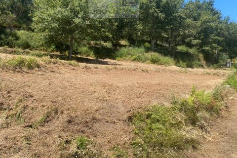 Terra a Gondufe, Viana do Castelo, Gondufe - € 50.000 | Ref: TER_1835 - foto 6