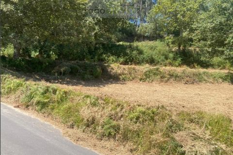 Terra a Gondufe, Viana do Castelo, Gondufe - € 50.000 | Ref: TER_1835 - foto 7
