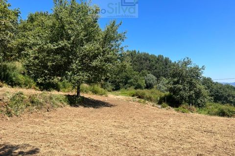 Terra a Gondufe, Viana do Castelo, Gondufe - € 50.000 | Ref: TER_1835 - foto 8