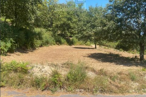 Terra a Gondufe, Viana do Castelo, Gondufe - € 50.000 | Ref: TER_1835 - foto 9
