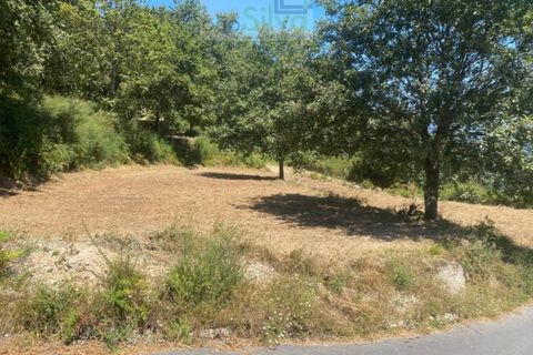Terra a Gondufe, Viana do Castelo, Gondufe - € 50.000 | Ref: TER_1835 - foto 10