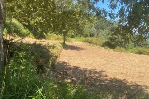 Terra a Gondufe, Viana do Castelo, Gondufe - € 50.000 | Ref: TER_1835 - foto 11