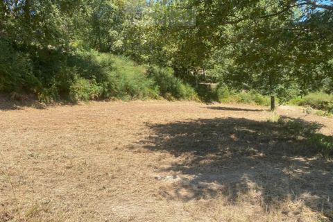Terra a Gondufe, Viana do Castelo, Gondufe - € 50.000 | Ref: TER_1835 - foto 12