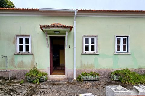 Farm hus i Cadaval, Lisbon, Cadaval - € 380.000 | Ref: HP-0979 - foto 20