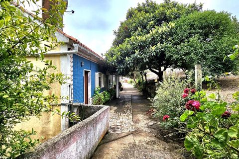 Farm hus i Cadaval, Lisbon, Cadaval - € 380.000 | Ref: HP-0979 - foto 30