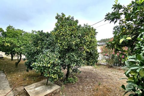 Farm hus i Cadaval, Lisbon, Cadaval - € 380.000 | Ref: HP-0979 - foto 43