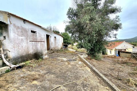 Farm hus i Cadaval, Lisbon, Cadaval - € 380.000 | Ref: HP-0979 - foto 49
