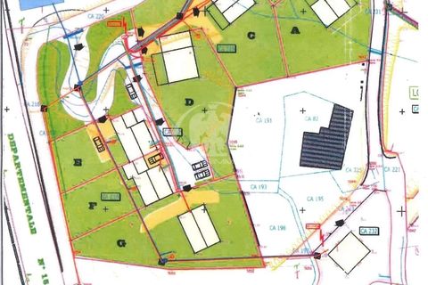 Tomt i Contes, Alpes-Maritimes, Contes - € 2 200 000 | Ref: 1927JJ - foto 3