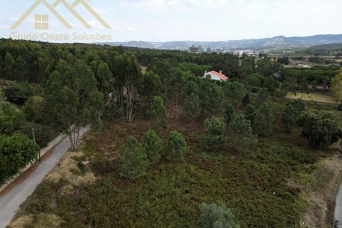 Helårsgrund i Torres Vedras, Lisbon, Torres Vedras - € 269.000 | Ref: GD2424310801 - foto 3