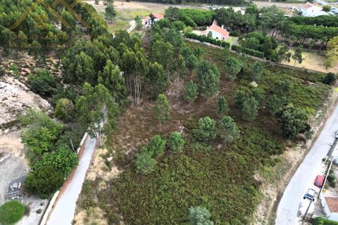 Helårsgrund i Torres Vedras, Lisbon, Torres Vedras - € 269.000 | Ref: GD2424310801 - foto 4