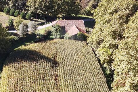 Villa i Celorico de Basto, Braga, Celorico de Basto - € 56.000 | Ref: 121751324-182 - foto 3