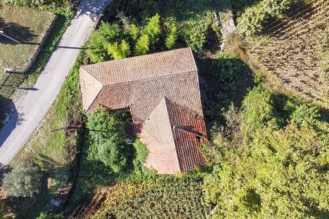 Villa i Celorico de Basto, Braga, Celorico de Basto - € 56.000 | Ref: 121751324-182 - foto 5