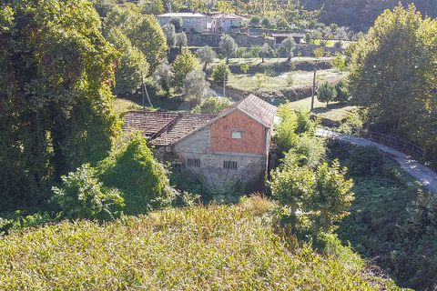 Villa i Celorico de Basto, Braga, Celorico de Basto - € 56.000 | Ref: 121751324-182 - foto 9