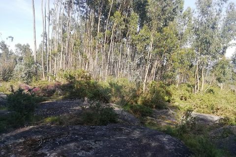 Helårsgrund i Guimaraes, Braga, Guimaraes - € 35.000 | Ref: 121751324-198 - foto 1