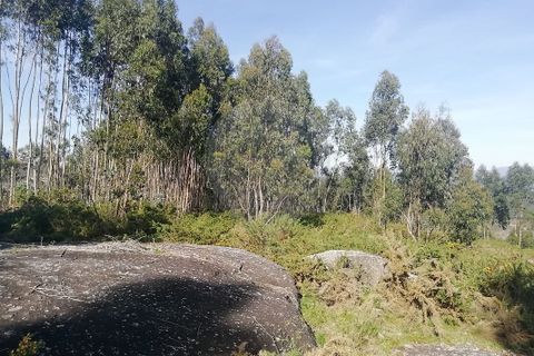 Helårsgrund i Guimaraes, Braga, Guimaraes - € 35.000 | Ref: 121751324-198 - foto 2