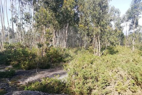 Helårsgrund i Guimaraes, Braga, Guimaraes - € 35.000 | Ref: 121751324-198 - foto 3