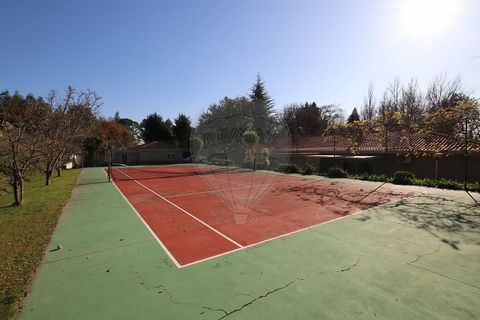 Villa i Guimaraes, Braga, Guimaraes - € 1.100.000 | Ref: 121751324-19 - foto 9