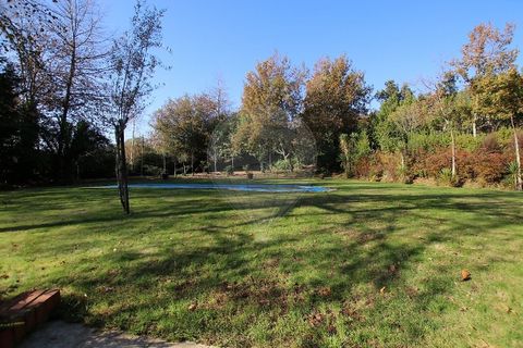 Villa i Guimaraes, Braga, Guimaraes - € 1.100.000 | Ref: 121751324-19 - foto 10