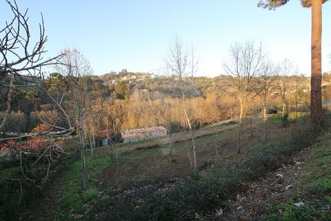 Villa i Cabeceiras de Basto, Braga, Cabeceiras de Basto - € 365.000 | Ref: 121751324-46 - foto 2