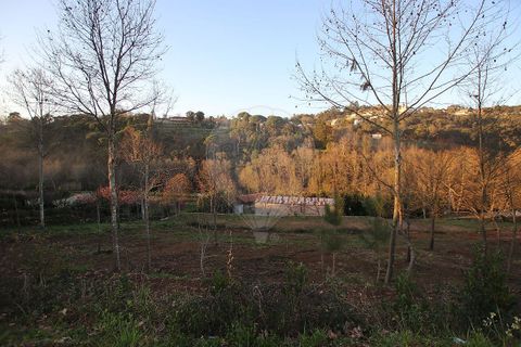 Villa i Cabeceiras de Basto, Braga, Cabeceiras de Basto - € 365.000 | Ref: 121751324-46 - foto 5