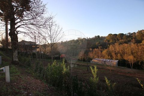 Villa i Cabeceiras de Basto, Braga, Cabeceiras de Basto - € 365.000 | Ref: 121751324-46 - foto 6