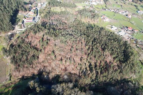 Tomt i Fafe, Braga, Fafe - € 47 500 | Ref: 121751324-50 - foto 2