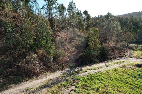 Tomt i Fafe, Braga, Fafe - € 47 500 | Ref: 121751324-50 - foto 5