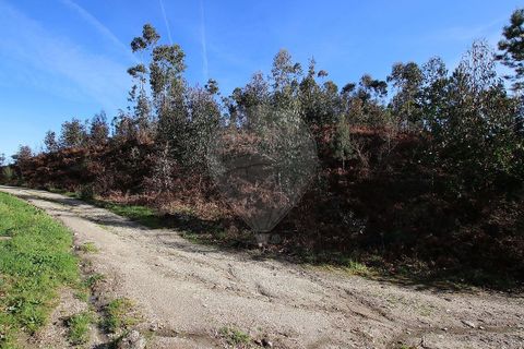 Tomt i Fafe, Braga, Fafe - € 47 500 | Ref: 121751324-50 - foto 6