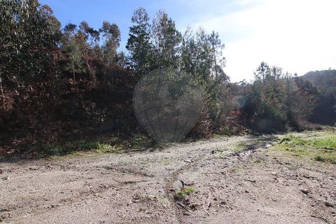 Tomt i Fafe, Braga, Fafe - € 47 500 | Ref: 121751324-50 - foto 7