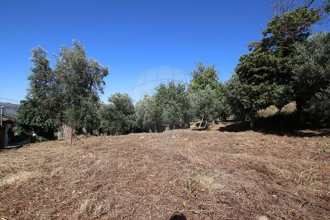 Villa i Cabeceiras de Basto, Braga, Cabeceiras de Basto - € 90.000 | Ref: 121751324-81 - foto 10