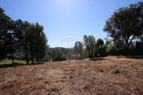 Villa i Cabeceiras de Basto, Braga, Cabeceiras de Basto - € 90.000 | Ref: 121751324-81 - foto 11